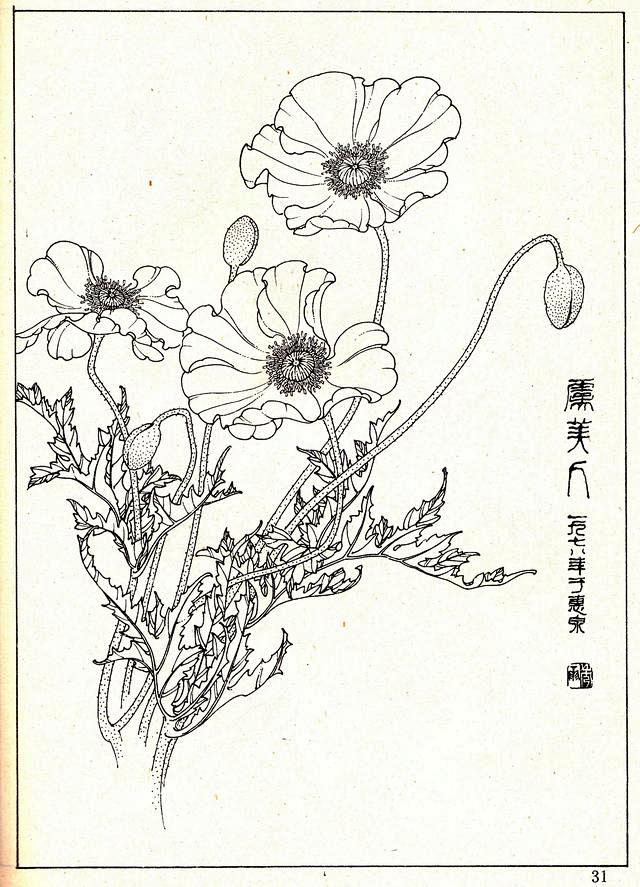花卉线描资料白描花卉
