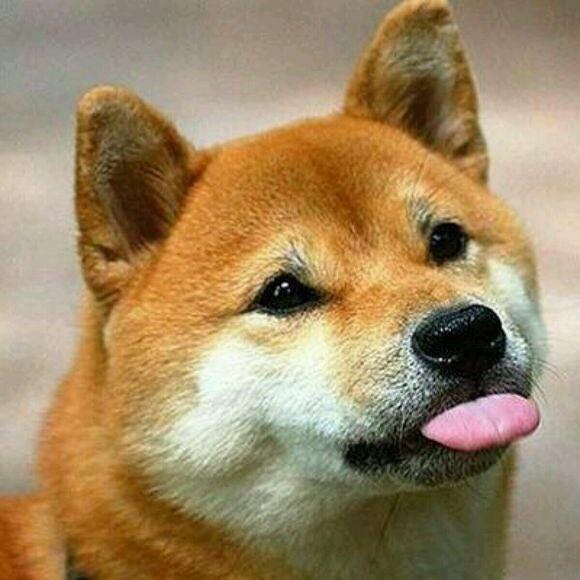 娃🙈🙉🙊