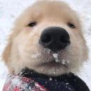 张铎振🌨