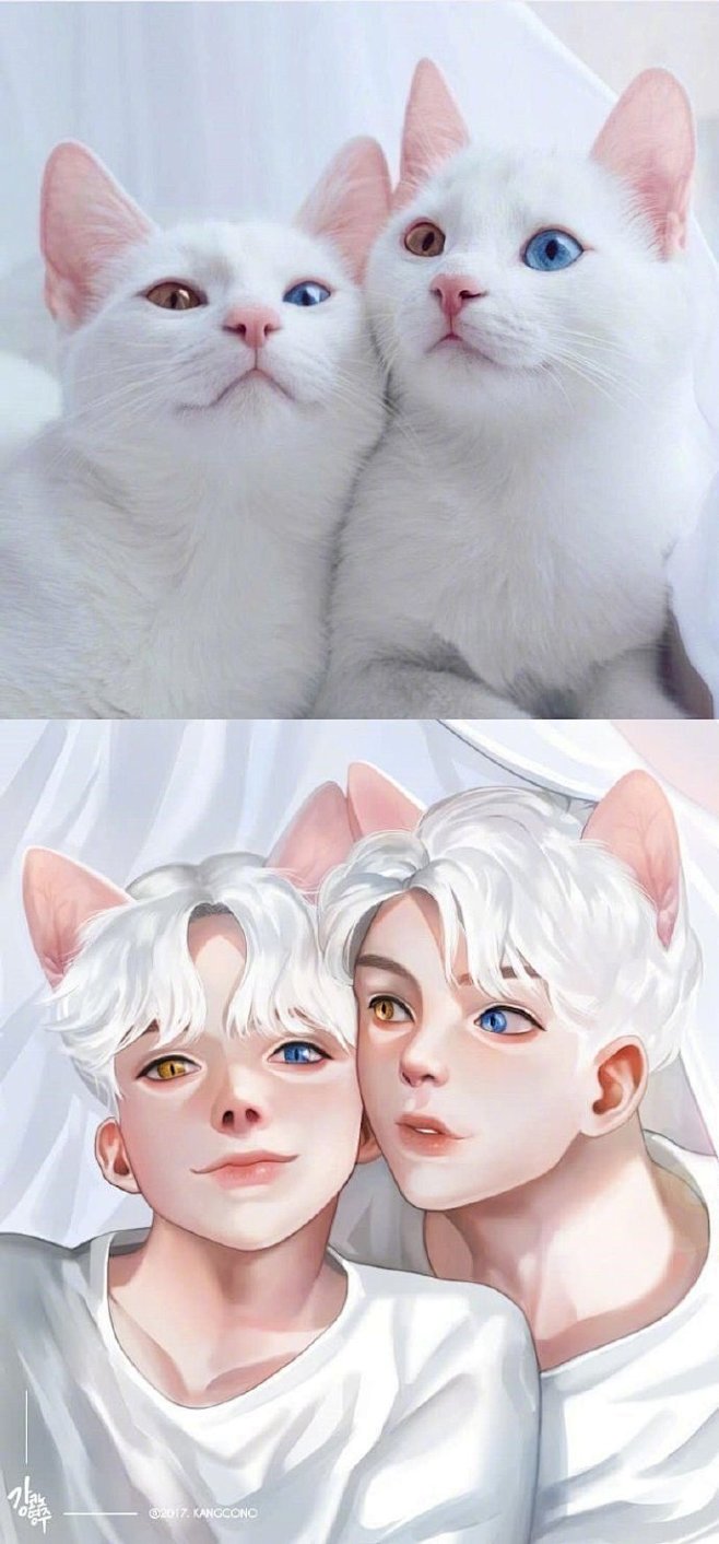 二次元漫画# 一组动物拟人!黑白鸽子.