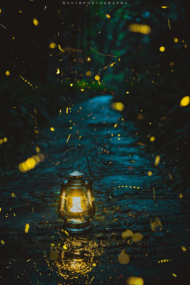 黑夜中的光与影