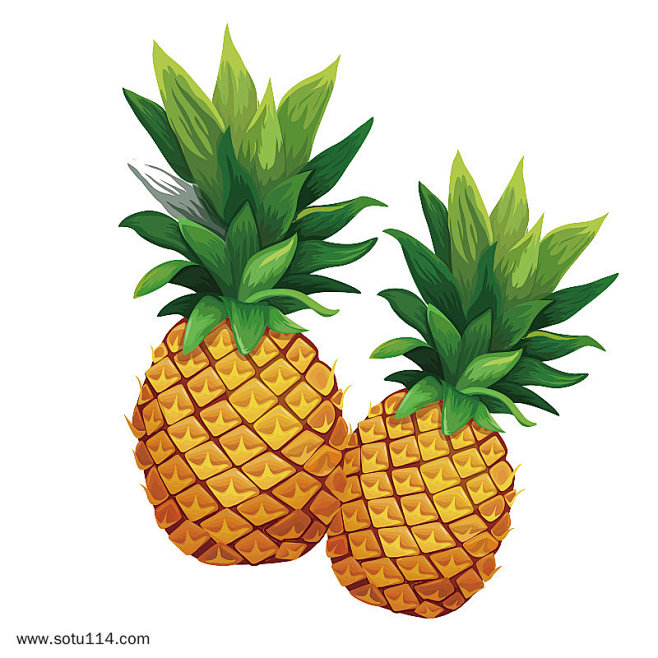 夏日矢量手绘菠萝凤梨素材