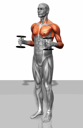 一套锻炼肌肉保持身材的gif