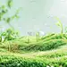 植物通用实景蓝天白云草丛背景场景图片素材