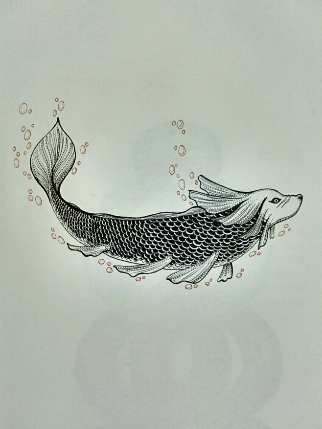 山海经鮨鱼