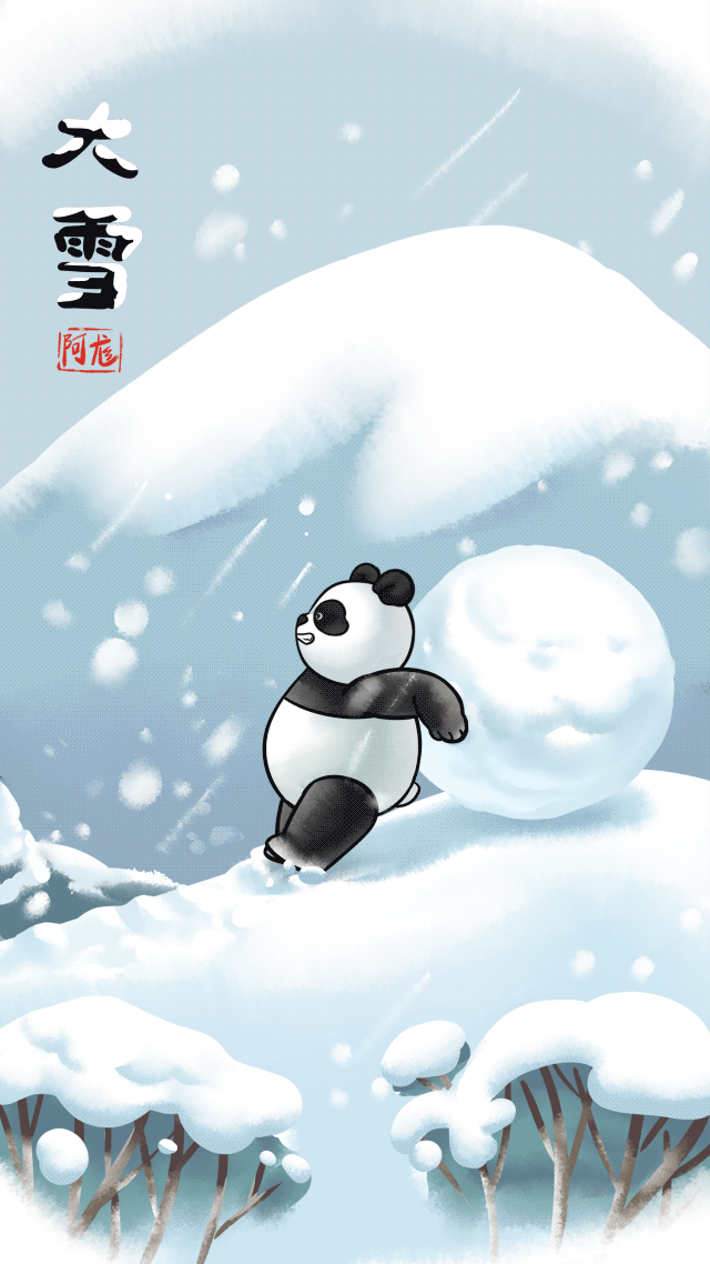 熊猫滚阿滚的二十四节气 @阿尨along 插画 gif 原创 大雪