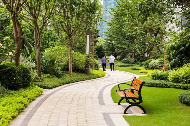 小区生活宅间宅前绿化小区绿化小区宅间景观宅间绿地设计干净的小区