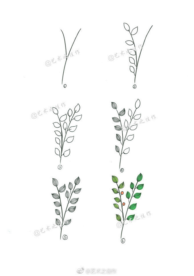 设计秀详细的植物简笔画叶子花花草草系列67