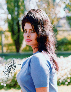 索菲亞羅蘭sophialoren