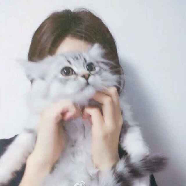 AI尤