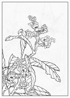 线描-花瓣网|陪你做生活的设计师 | 掉的,其余初夏至仲秋.@水那