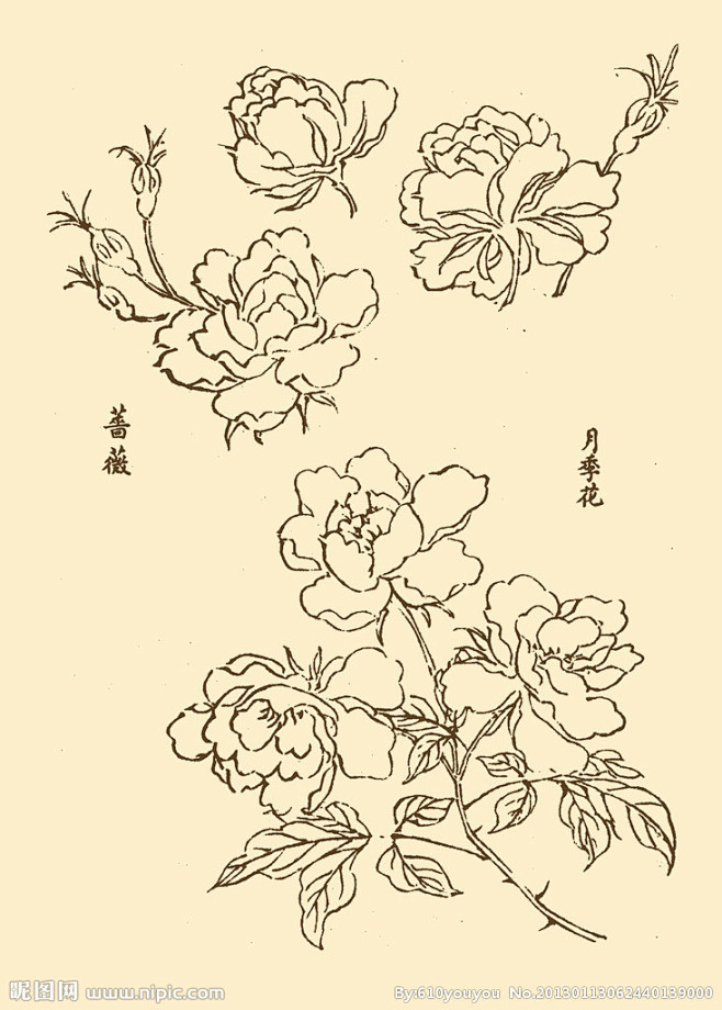 芥子园画谱花卉大图点击还原