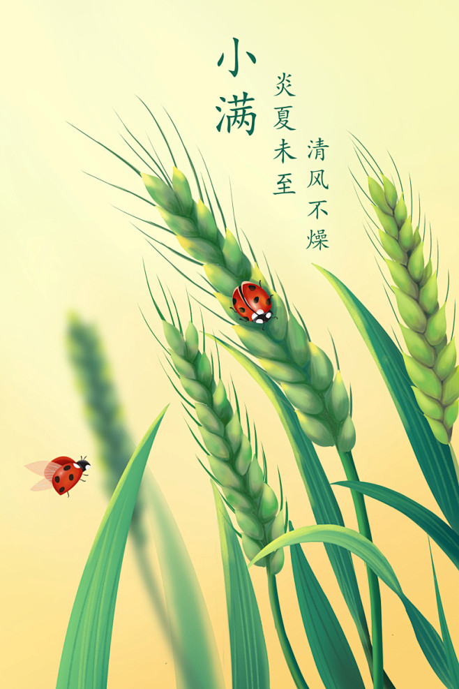 22g2wrmy从she丶浅转采于2021-02-23 09:37:09小满节气插画海报节气