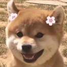 洋阳~
