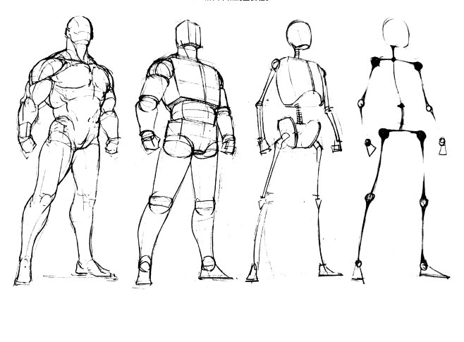 火柴人骨骼关节人体体块人体肌肉