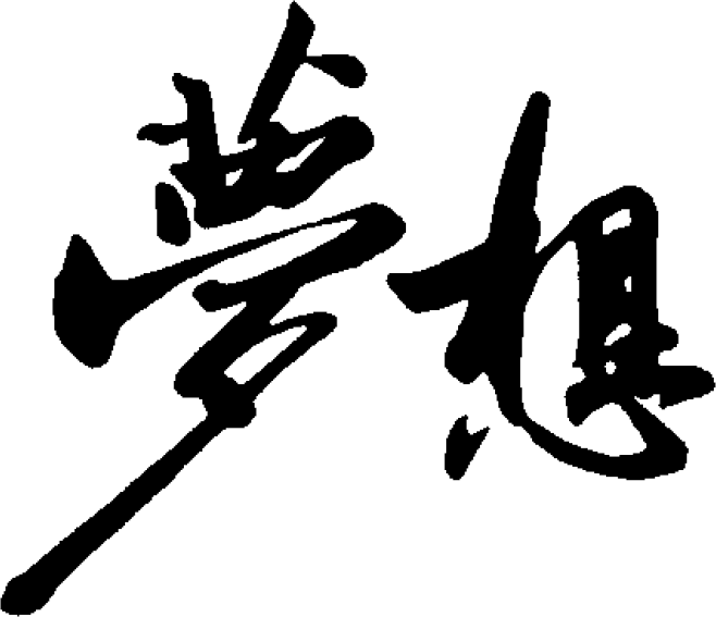 梦想