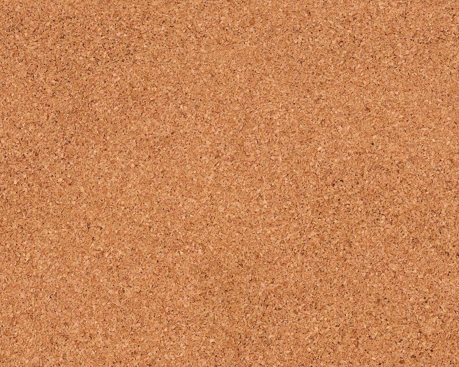 corkboard