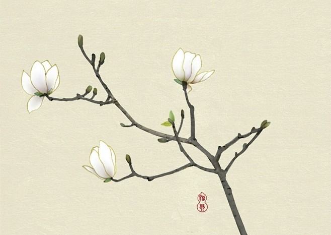 白玉兰练习插画花古风插画