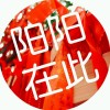 阳阳在此