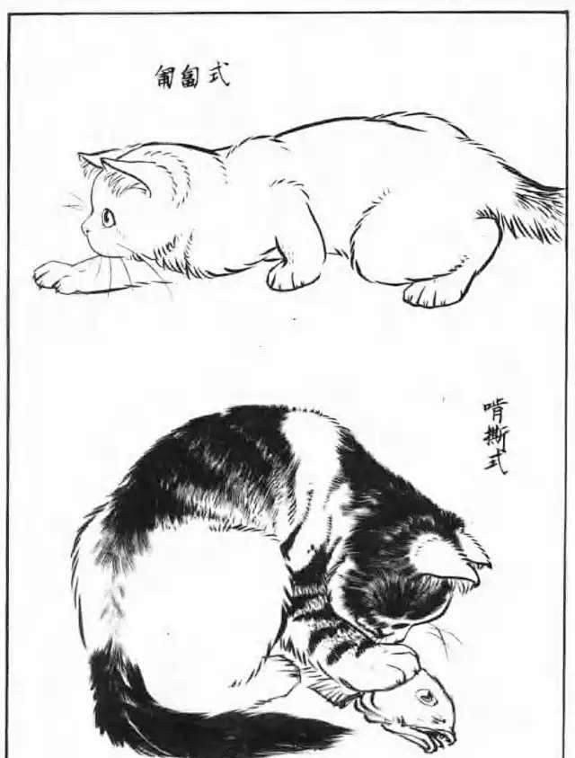画猫动态技法百图画猫动态技法百图