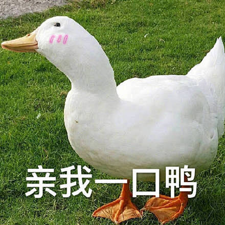 一组冲鸭表情包超可爱的晚安鸭67
