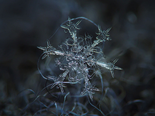 11:19:39科學家們給雪花的形狀分類自然mly120315同採自jandan