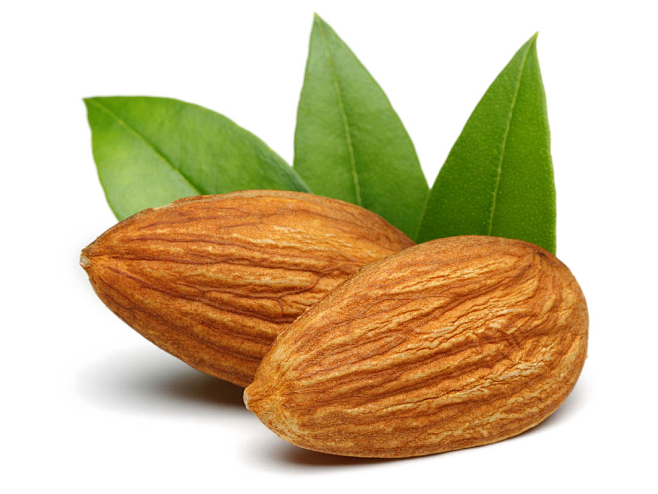 kiracjy从扶桑sama转采于2021-10-13 14:34:22巴旦木素材 - 植物