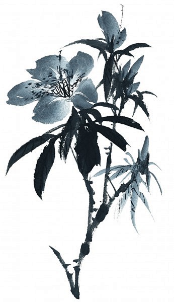 水墨花卉图片