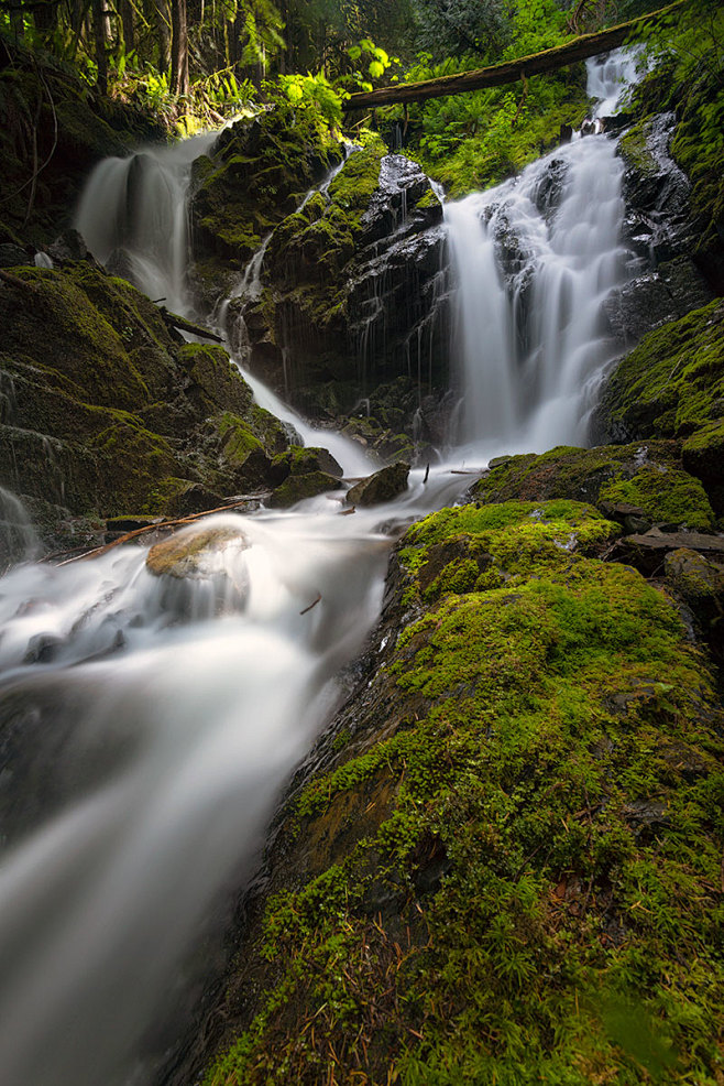 strangle hold by jas.