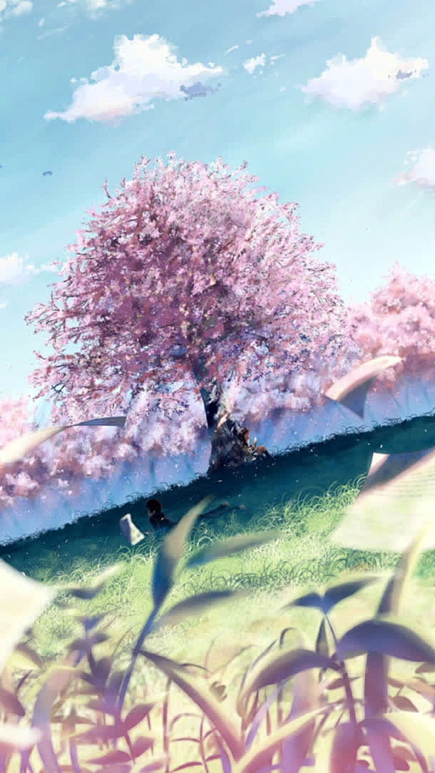二次元樱花树 唯美图片