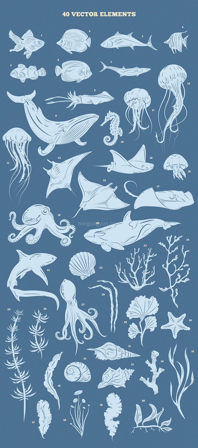 海洋主题矢量海洋动物插画设计素材underwaterkingdomgraphicstoolkit