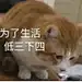 川川chuanchuan123
