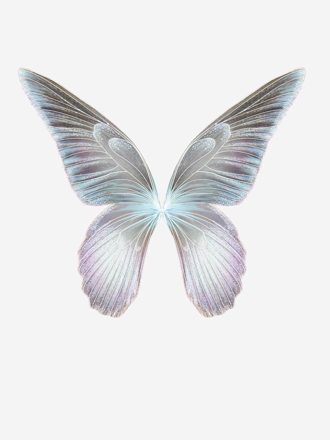 翅膀图片卡通梦幻蝴蝶