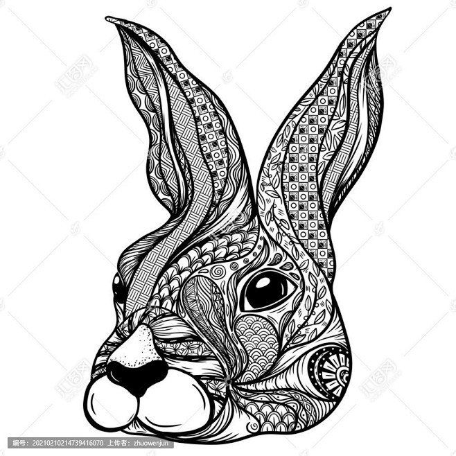 动物线描画系列之兔头