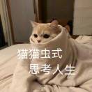 maomaoch