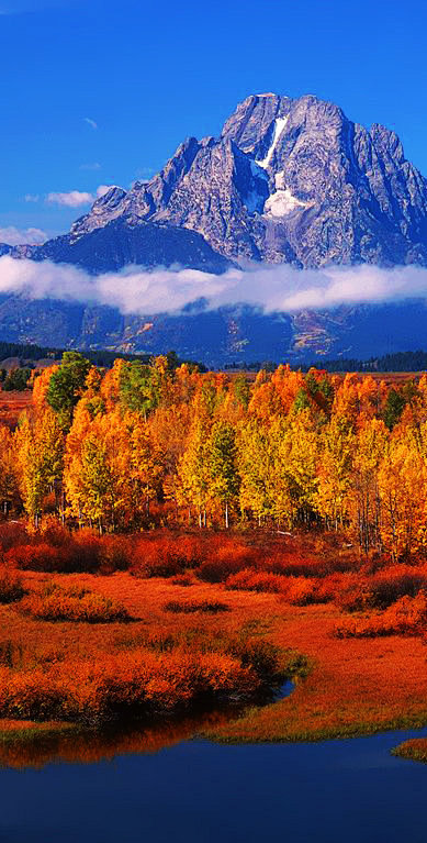 简单的一天从花瓣每日精选转采于2013-12-04 22:15:54秋色山林图~风景