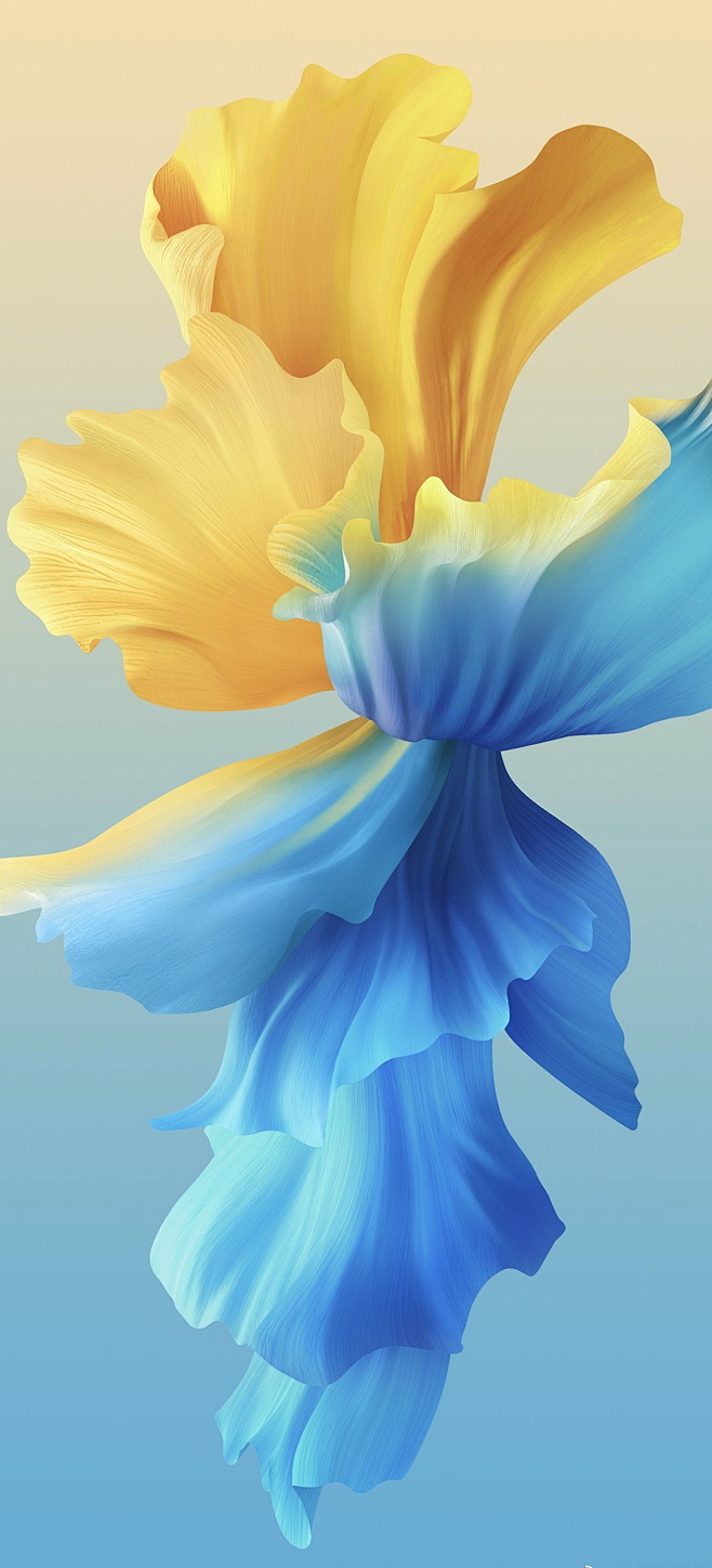 vivox60手机自带壁纸