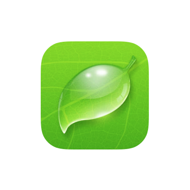 绿色的手机应用图标图片