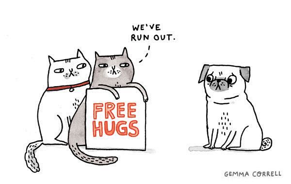 freehugsbygemmacorrellviaflickrcatstuff