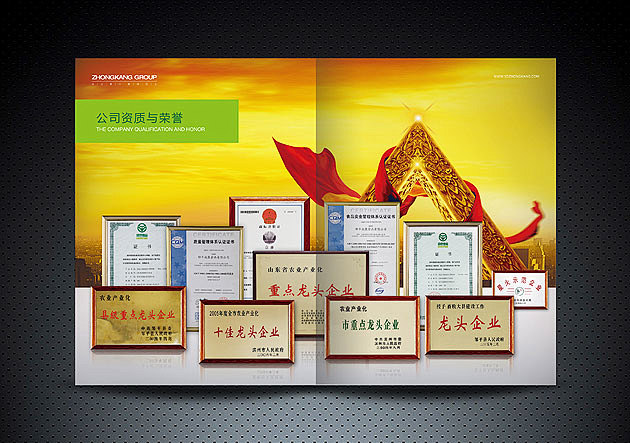 邹平市众康集团企业画册设计济南画册设计海右博纳