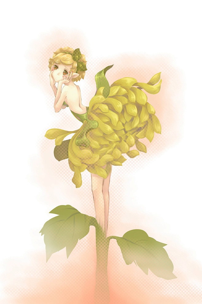 ganry的插画菊花