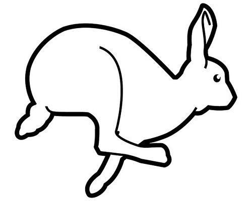 跳跃的兔子简笔画百度图片搜索