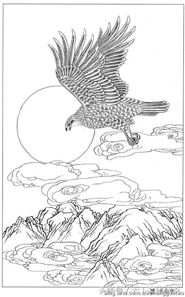 白描雄鹰图