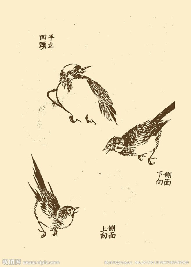 芥子园画谱花鸟大图点击还原