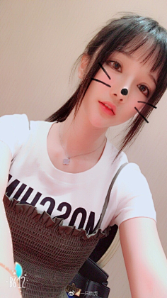 一只胖虎