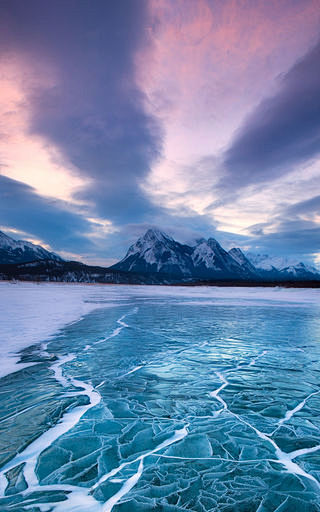 baidu.com该采集也在以下画板加载更多