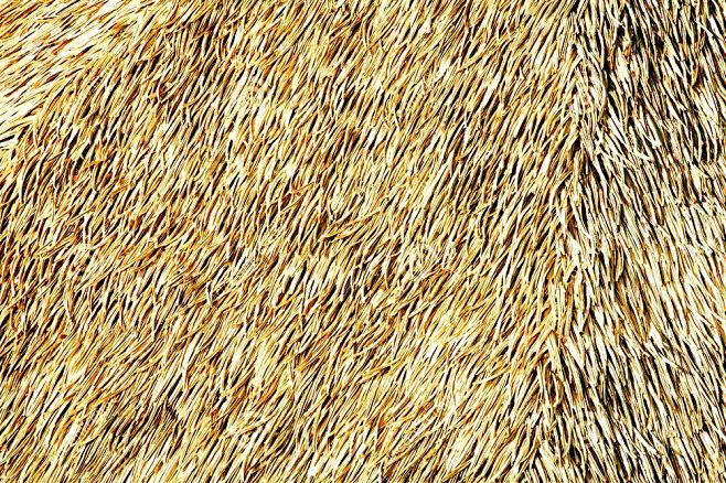 t700从仟茜匀韵转采于2021-10-01 21:31:37茅草屋顶材质 (p)材质贴图