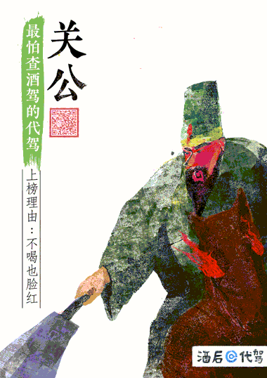 e代驾中国历史上最nb的6个司机gif海报