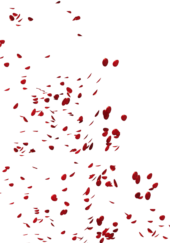 浪漫玫瑰花瓣雨5