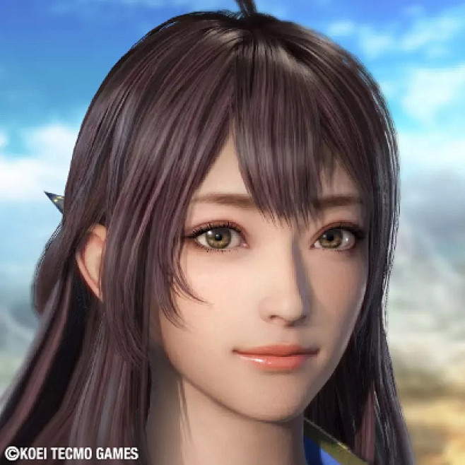 真三国无双8官网更新辛宪英登场